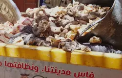 فاس: مداهمة "مستودع سري" وحجز طن من الشحوم الفاسدة الموجهة لبطون المواطنين (صور)