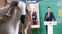 الحكومة تكشف للمغاربة معطيات مهمة بخصوص عيد الأضحى