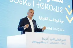 الوزير زيدان: أفراد الجالية يدركون حجم التحول الذي يعيشه المغرب في الوقت الذي لا تظهر هذه الإنجازات بنفس الوضوح لمن يعيش داخل البلاد