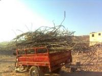ظهور حرف جديدة تزامنا مع عمليات الهدم التي لم تتوقف بعد بأكادي