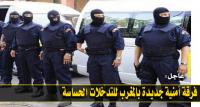 "الحموشي" يطلق فرقة أمنية جديدة هذه مهامها وبهذه الدولة تدربت