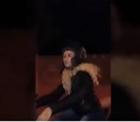 "سينا" في شوارع مراكش ليلا... شاهد ماذا حصل