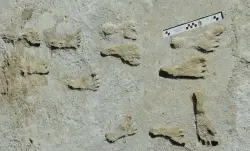 آثار أقدام تهز تاريخ أمريكا.. هل وصل الإنسان قبل 23 ألف عام؟