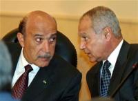 ابو الغيط يحذر من اضطرار الجيش للتدخل للدفاع عن الدستور اذا حدثت فوضى 