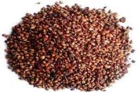 فوائد بذور العنب