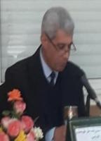 الصورة والديداكتيك في اللغة العربية : الواقع والآفاق