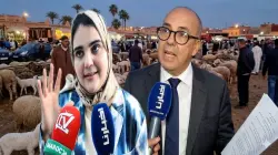 الخروف بـ1000 درهم.. البرلمانية زينب السيمو تعلق على مداخلة وزير الفلاحة حول أضاحي العيد