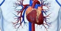 استشاري قلب: تسوس الأسنان يعرض مرضى القلب للخطر
