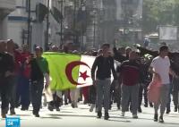 الولايات المتحدة تراقب المظاهرات في الجزائر وتدعم الشعب الجزائري!