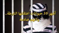 أشهر 10 حيوانات اعتقلتها الشرطة.. والتهم صادمة