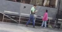 طائر ينقض على رجل يحدق في هاتفه (فيديو)
