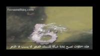 أغرب من الخيال..دولفين يجعل فريسته تقفز بنفسها الى فمه 