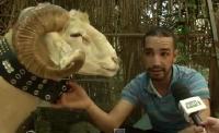 حولي بـ 40 مليون!