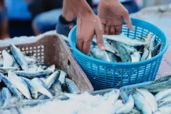 قبل 15 يومًا من رمضان.. “سمك الفقراء” نادر في الأسواق وأسعاره تقفز لمستويات غير مسبوقة