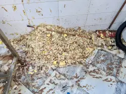 حجز أكثر من طن من البطاطس المجهولة المصدر في عملية تفتيش صادمة بمدينة الفنيدق