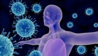 دراسة حديثة: مرضى "كورونا" الذين تظهر عليهم الأعراض أكثر نشراً للفيروس بـ4 مرات