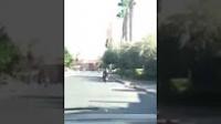 سرقة هاتف نقال بمراكش في واضح النهار