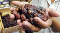 التمر .. "خبز الصحراء" الغني بالفوائد