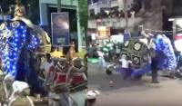 فيل يهاجم عشرات السريلانكيين أثناء الاحتفال بأحد المهرجانات