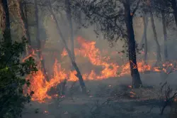 حرائق الجزائر.. لماذا يفضل النظام العسكري كلفة الخسائر البشرية على قبول "كنادير" المغرب؟