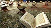 الطيور والحيوانات التى ذكرت في القرآن الكريم