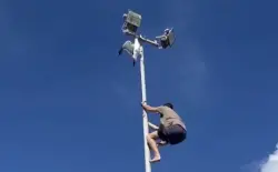 شاب ينقذ طائرا صغيرا علق داخل عمود إنارة.. فيديو