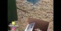 بالفيديو.. العثور على طفل حديث الولادة بجانب القمامة في السعودية