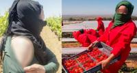 القضاء الإسباني يصدم العاملات الموسميات المغربيات ضحايا التحرش بحقول الفراولة