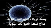 للرجال فقط : جرب هذه النصائح لزيادة عدد الحيوانات المنوية