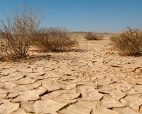 علماء يتوقعون تصحر غابات حوض البحر الأبيض المتوسط