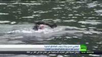 المغربي حسن بركة يجوب المضائق البحرية ليصبح أول سباح يقطع المعابر بين القارات