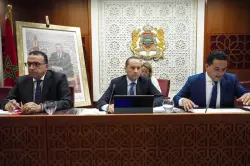 التهراوي: لا حلول سريعة لحل أزمة نقص الأطباء في المغرب