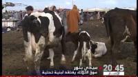 سيدي بنور: سوق الثلاثاء من بين أكبر الأسواق الوطنية