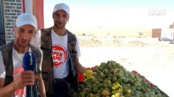 مول الهندية يفجر مفاجآت صادمة: الحبة وصلات لـ3 دراهم وهذا هو السبب