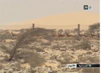 إطلاق 25 غزلان مهددة بالانقراض بالداخلة‏