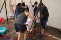 عاجل.. إلغاء عيد الأضحى بسبتة المحتلة