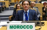 وزير الدولة المنتدب المكلف بالهجرة يعود من هذه المهمة بـ"أديس بابا"