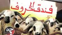 فندق الخروف 5 نجوم و عيد الأضحى بالمغرب