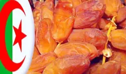 وزير: 95 بالمائة من واردات التمور في رمضان من الجزائر