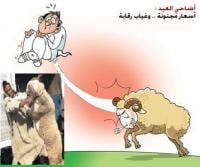 أكادير: شكاوى من ارتفاع أسعار الأضاحي في ظل غياب تام للمراقبة