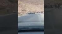 حادثة سير مروعة بين الراشدية و الريش