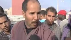 تراجع أسعار الأضاحي
