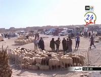 سوق الأغنام بالراشيدية بين المتوسط والمرتفع