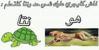واش حتا نتوما؟