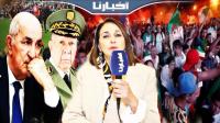 منيب تقصف نظام العسكر الجزائري وتصف الخروج للاحتفال بإقصاء الأسود من الكان بالمتخلف