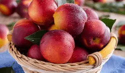 فوائد تناول الخوخ يوميًا على صحة الجسم