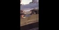 بالفيديو.. رجل يعجز عن فتح باب سيارته بسبب «عنكبوت» ضخم