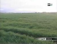 وضعية القطاع الفلاحي ببركان 