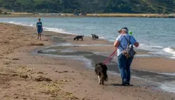 بحيرة سياحية تتحول إلى مصدر خطر بعد نفوق كلب بسبب مياه سامة