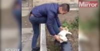 بالفيديو..رجل ينظف حذاءه بـ«قطة»